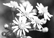 手机号短信轰在线轰炸免费软件